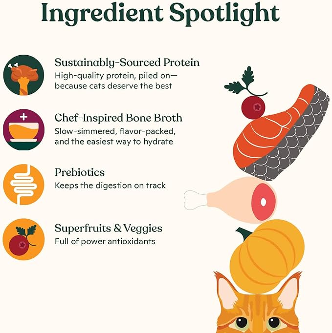 Made by Nacho Wet Cat Food Variety 12 Pack (3oz Each), Cage-Free Chicken, Sustainably Caught Salmon, Grass-Fed Beef with Bone Broth for Extra Hydration, Gravy Cut Pouches