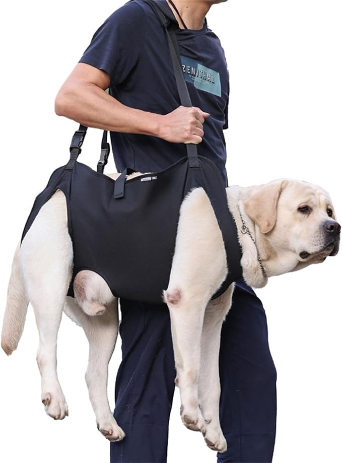 Dog for Large Leg Lift Harness for Injured Elderly Dogs Disabled Pet Supplies Lift Harness