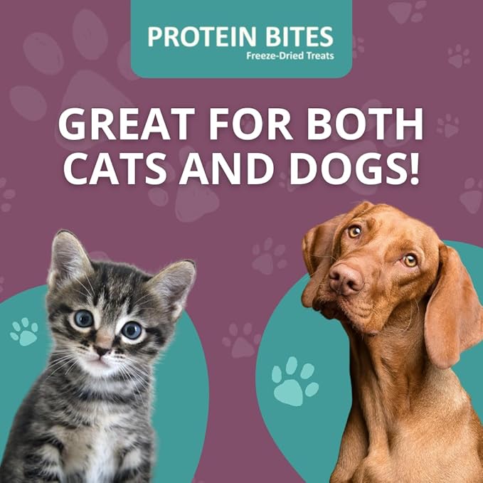 Steve's Real Food Protein Bites Gut Health Treats - Freeze-Dried Pet Treats for Cats and Dogs - Chicken Recipe - 4 oz