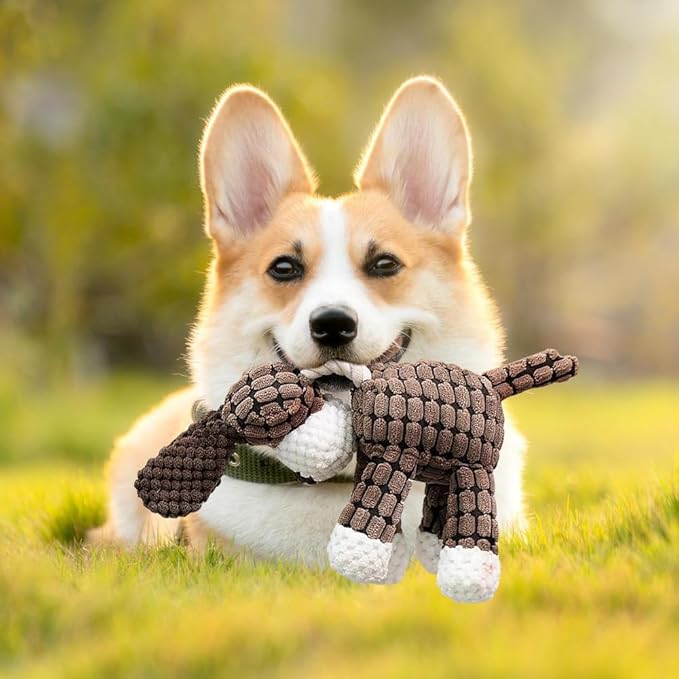 Upgrade Bite Buddy Chew Toy for Dogs, 2025 New Petsboro Bitebuddy Dog Toy Indestructible Stuffed Animals for Dogs, Cute Soft Resistant Squeaky Dog Toys for Heavy Chewers (A2+A3)