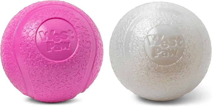 WEST PAW Boundr Ball Dog Fetch Toy – Bouncing Toys for Dogs, Fetch, Catch, Chewing, Play – Floatable, Recyclable Balls – Small Hotpink/Glow 2-Pack