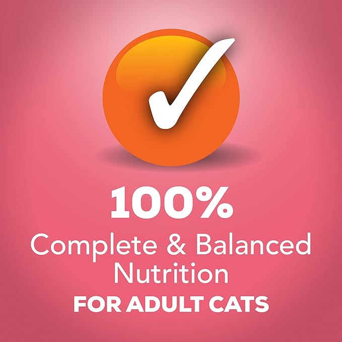 Purina Friskies Extra Gravy Wet Cat Food Chunky With Salmon in Savory Gravy - (Pack of 24) 5.5 oz. Cans