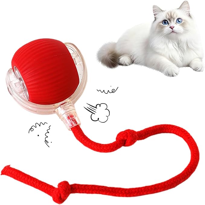 Cat Toy, 360° Automatic Rolling Smart Pet Ball Toys, Motion-Activated, Rechargeable, Four Modes, Three Speed Adjustment, Solve Your Cat's Boredom in Seconds (Red)