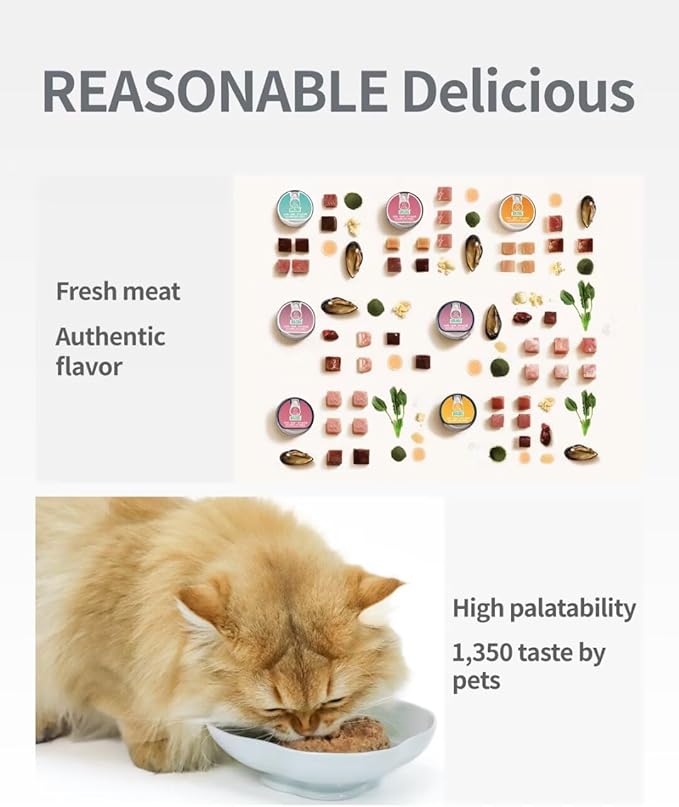 Beef Recipe Wet Canned Cat Food, 97% Animal Ingredients, Grain-Free & BPA-Free Cat Wet Food, 3.5 Ounce Cans (Pack of 6)