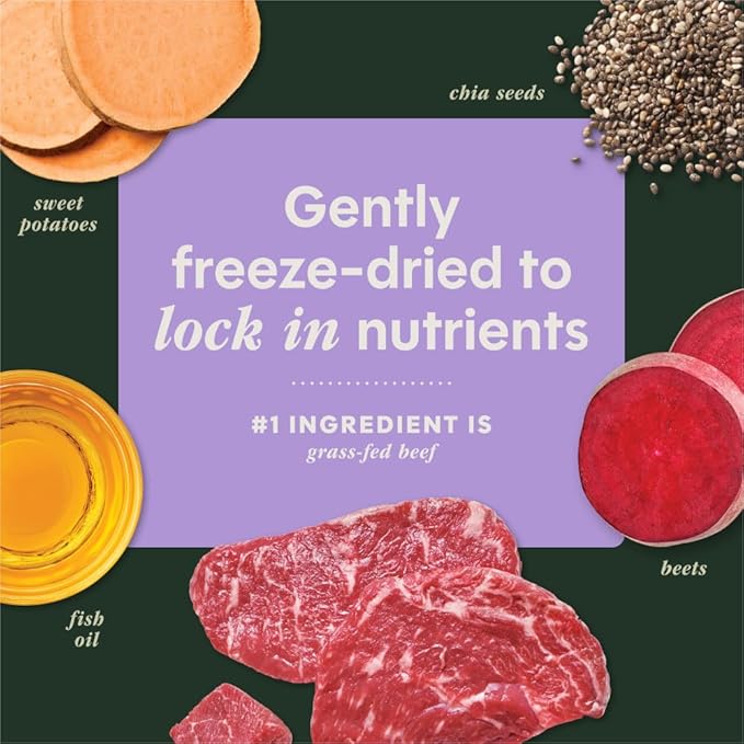 Instinct RawBoost Functional Mixers, Freeze Dried Dog Food Topper, Grain-Free, Real Beef - Multivitamin for Adults, 5.5 oz. Bag