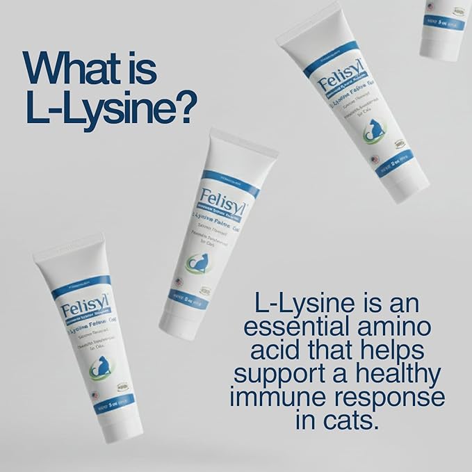 L-Lysine Gel for Cats & Kittens (5oz) – Immune System, Respiratory & Eye Health Support. Reduces Sneezing, Runny Nose & Watery Eyes. Daily Salmon-Flavor Supplement – Made in USA (2 Pack)
