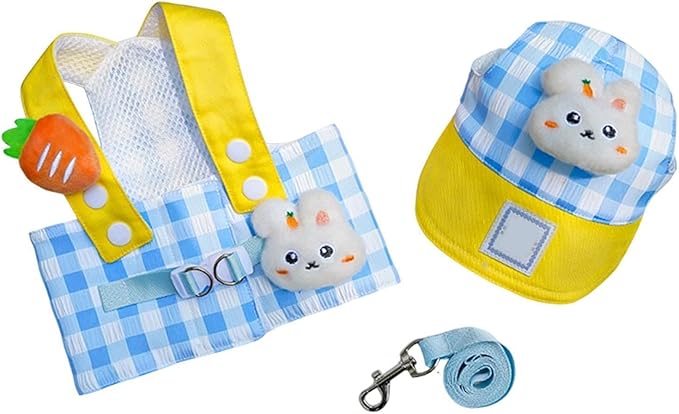 No Pull Dog Harness | Pet Accessories With Hat - Dog Training Harness Vest Leash | For Puppies Daily Outdoor Activities Including Shopping Running
