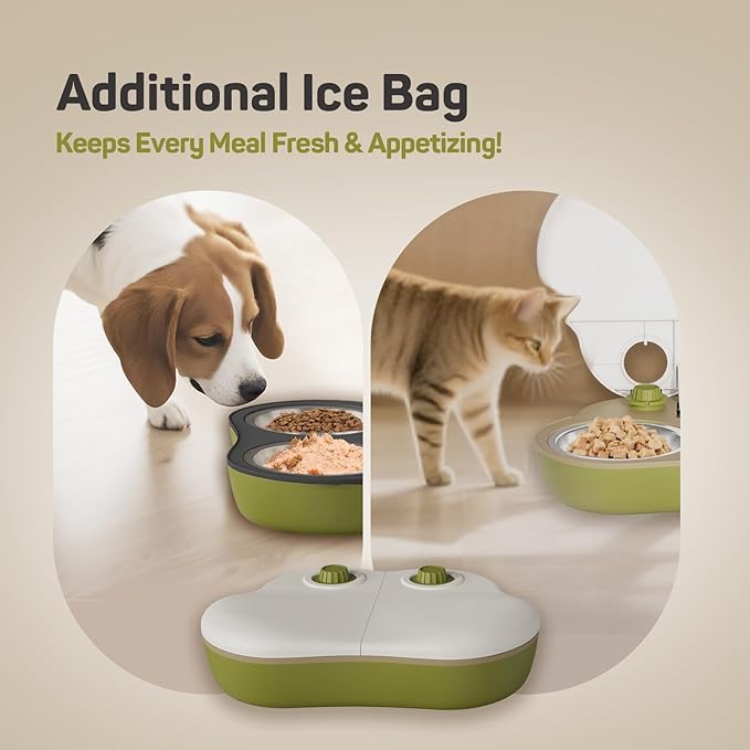Plike 2-Meal Automatic Pet Feeder, 48H Timed Wet Food Refrigerated Dispenser, Includes 2 Ice Packs and Stainless Steel Pet Bowl, Ideal for Wet Food, Yogurt & Canned Meals – for Cats & Small Dogs