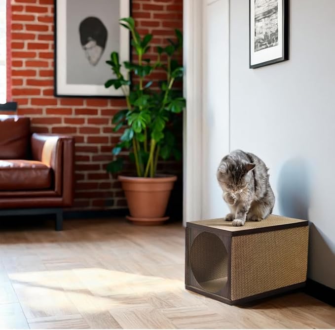 360° Cardboard Cat Scratcher Tunnel & House