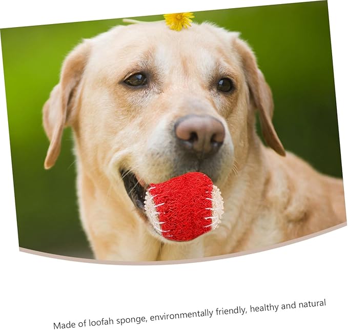 2pcs Natural Loofah Pet Chew Tennis Balls for Dogs Sturdy Puppy Training Supplies Interactive Outdoor Play Random Color