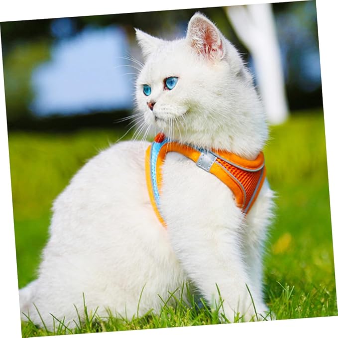 BESPORTBLE Pet Vest Harness Leash Set L Breathable Reflective No-Pull Dog Cat Harness for Outdoor Walking Puppy Pet Supply