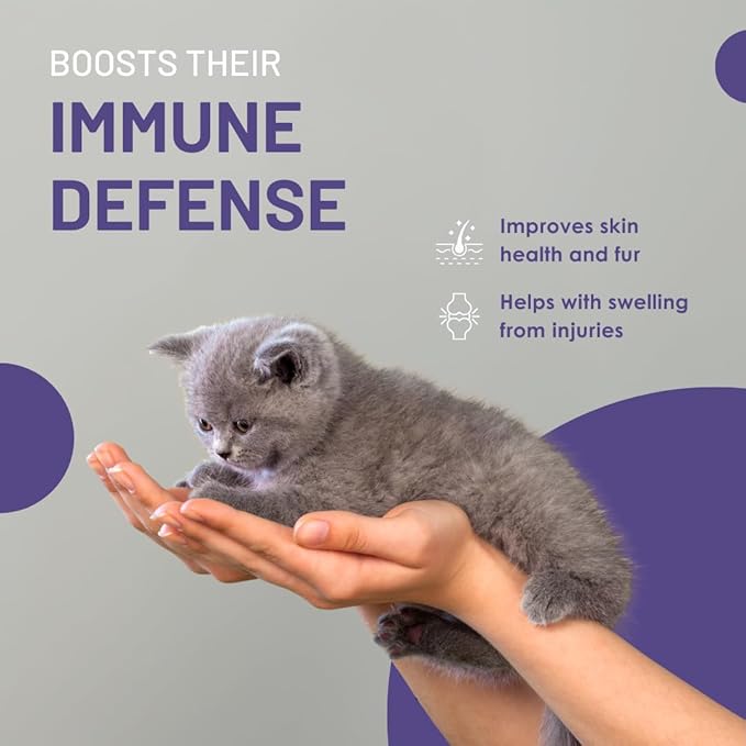ESS60 Olive Oil for Cats - Organic Extra Virgin Olive Oil, Pure C60 ESS60 (.8 mg/mL) & Natural Salmon Essence to Support Your Cats’ Flexibility, Energy, Immunity, Longevity - 3 oz