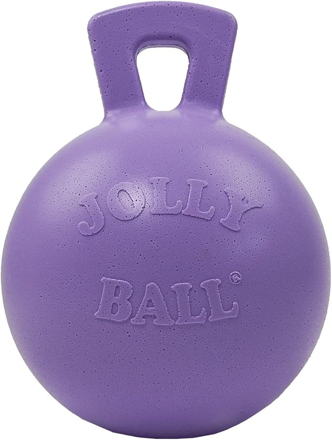 Jolly Pets Tug-n-Toss Heavy Duty Dog Toy Ball with Handle, 8 Inches/Large, Light Purple