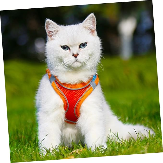 Toyvian Dog Vest Leash and Cat Harness Reflective Breathable Mesh Step-in Vest Harness M Size for Walking Puppies and Cats Outdoor Pet Supply