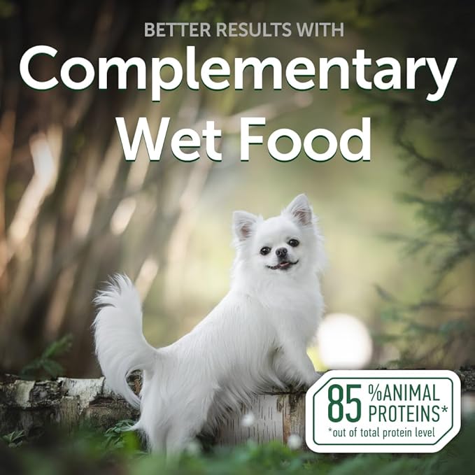 Nature's Protection Wet Dog Food - Soft Topper for Dry Food for Small & Large Breed Dogs with Light Fur, 24-Pack (Superior Care - Tuna & Sea Bass, 2.46-oz Pouches)