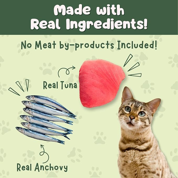 Queen's Cat & NUTRI PLAN Wet Cat Food Gourmet Tuna & Anchovy Meat Recipe 5.64 oz Cans, High Protein Taurine Rich, No Added Preservatives or Seasonings, Complete Balanced Nutrition, Pack of 24