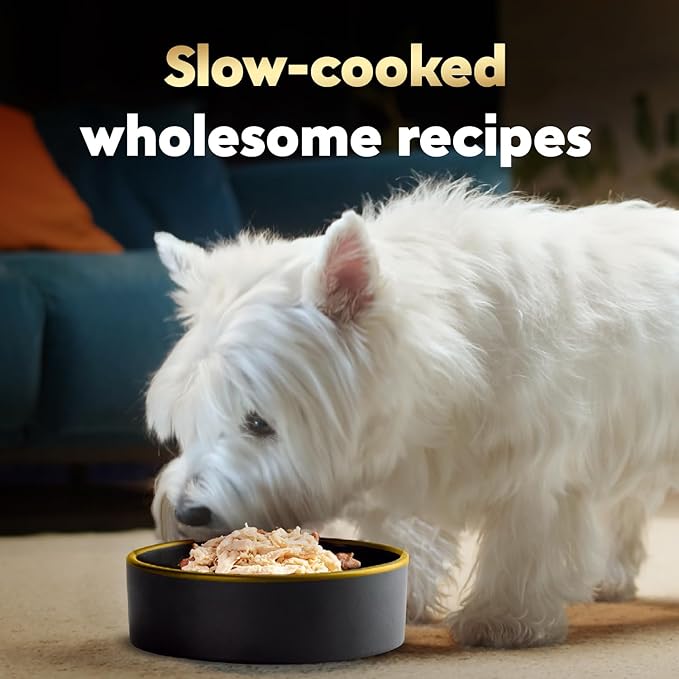 Cesar Wholesome Bowls Adult Soft Wet Dog Food Chicken Recipe, 3 oz. Bowl
