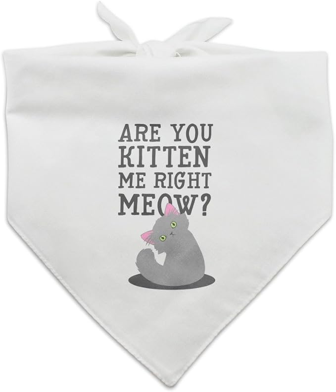 GRAPHICS & MORE are You Kitten Me Right Meow Cat Dog Pet Bandana