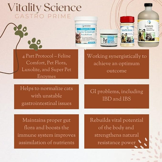 Vitality Science - Gastro Prime Combo for Cats | Supports Normal GI Function and Improves Nutrient Assimilation