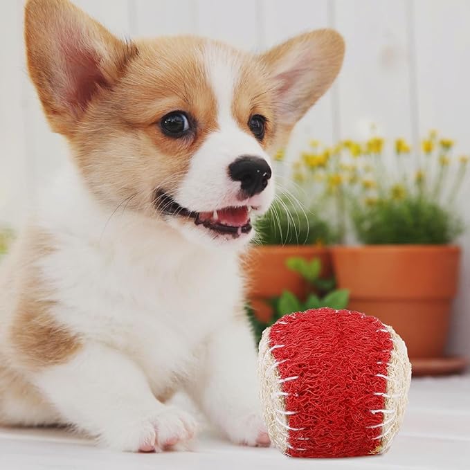 2pcs Dog Chew Tennis Balls for Dogs, Interactive Puppy Chew, Sturdy Pet Training Supplies for Aggressive Chewers and Play Random Color