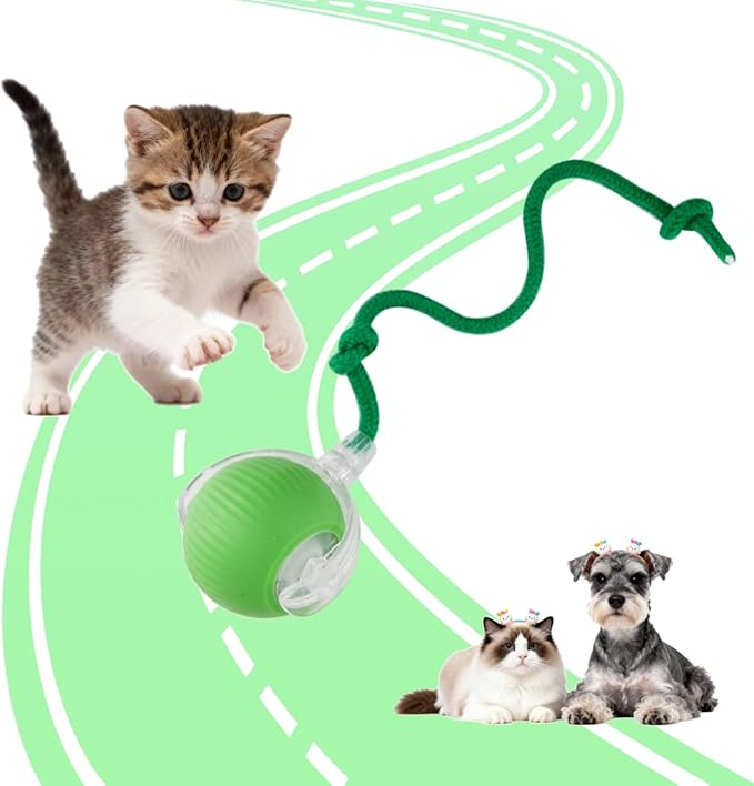 Interactive Cat Toys Ball for Indoor Cats, Interactive Rolling Small Dog Cat Toys Automatic Self Moving, 360°,Electric Balls，Fast Rolling，Smart Automatic Rolling Pet Ball (Green)