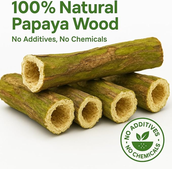 Rabbit Chew Toys – 100% Natural Papaya Branch Sticks for Guinea Pigs, Chinchillas, Small Animals | Safe, Green, High-Fiber Teeth Grinding Treats ((3pc) L:4.3 D:0.79-1.1in)