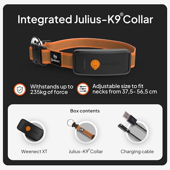 Weenect Dog XT - New GPS Collar for Dogs | XL Antenna | Waterproof | Ultra-Durable Integrated Julius-K9 Collar | Subscription Required