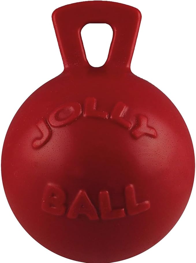Jolly Pets Tug-n-Toss Heavy Duty Dog Toy Ball with Handle, 4.5 Inches/Small, Orange