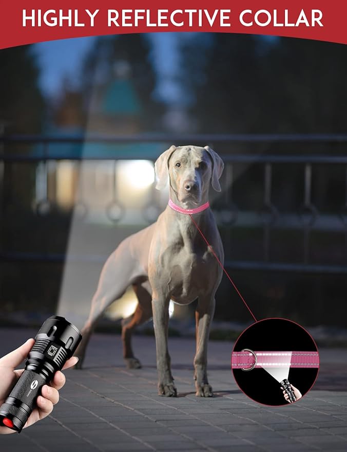 PaiPaitek Dog Shock Collar Replacement Strap 2-Pack, Reflective & Adjustable 3/4" Dog Collar for Training - Compatible with Jugbow, PetSafe, Bousnic, Garmin Replacement Collar Strap - 2 Pack