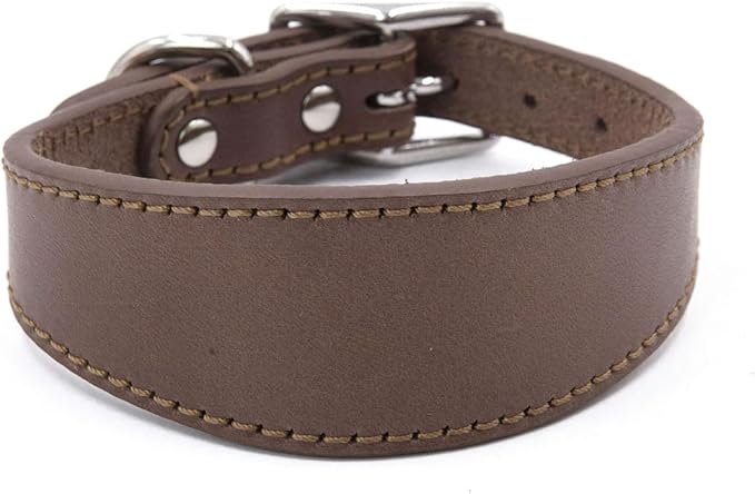 Leathers Collar for Salukis Sighthounds Breeds Adjustable Dogs Pet Supply Whippets Lurcher Sighthounds