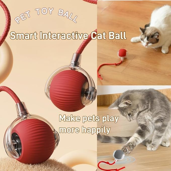 360°Interactive Rolling Cat Ball - Automatic Chew Toy for Active Cats & Small Dogs, Smart Fast Rolling Pet Toy (Green)