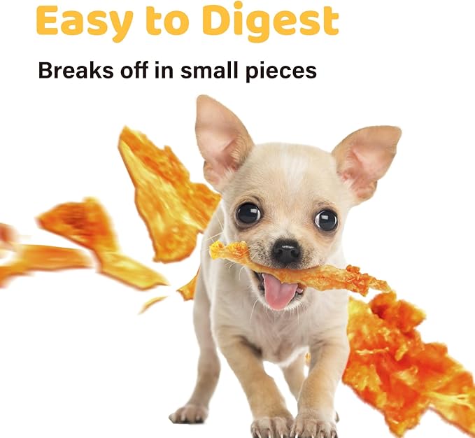 iPaw 10 Pcs Value Pack Turkey Tendons for Dogs, 100% Turkey and US Sourced Raw Material, Hypoallergenic, All Natural Human Grade Puppy Chew, Rawhide Alternative Dog Treats, Ring (Small)