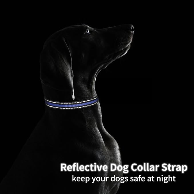 Modern Stylish 3/4" E Collar Replacement Strap with Quick Release, Replacement Shock Collar Strap, Adjustable for Small to Large Dogs, Replacement for Shock Collar Ecollar Strap (Black & Blue)