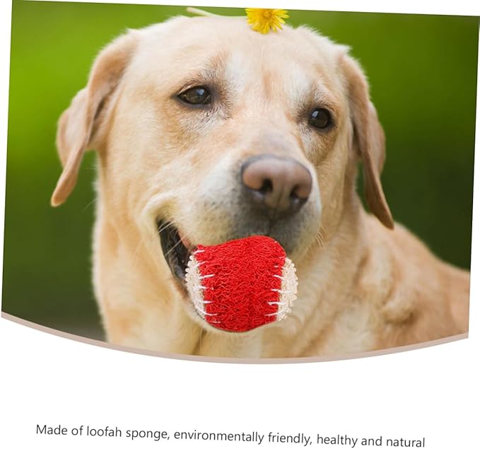 SOLUSTRE 2pcs Dog Chew Natural Loofah Tennis Balls Sturdy Puppy Chewing Training Interactive Pet Chew Supplies for Dogs Random Color