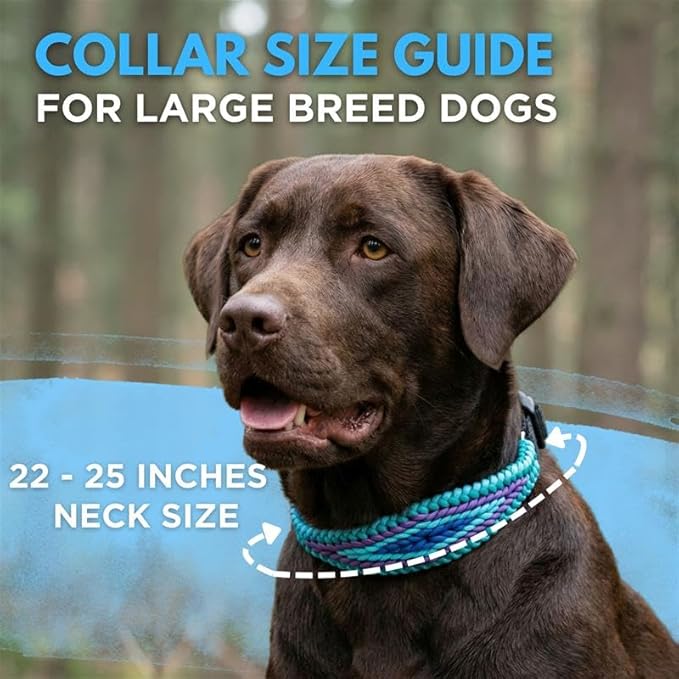 E-Collar Cover - for Large Dogs with 22-25" Neck Size - Adjustable Nylon Cord, Quick Release Buckle, Heavy Duty Loop Strap Compatible with Dogtra, Educator, SportDog, Garmin, Bousnic, Jugbow (Lagoon)