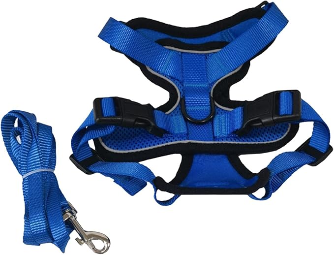 Cat Harness and Leash Set Reflective Easily Control Padded Soft Mesh Adjustable Chest Strap for Running Walking Training Pet Supplies, Blue S