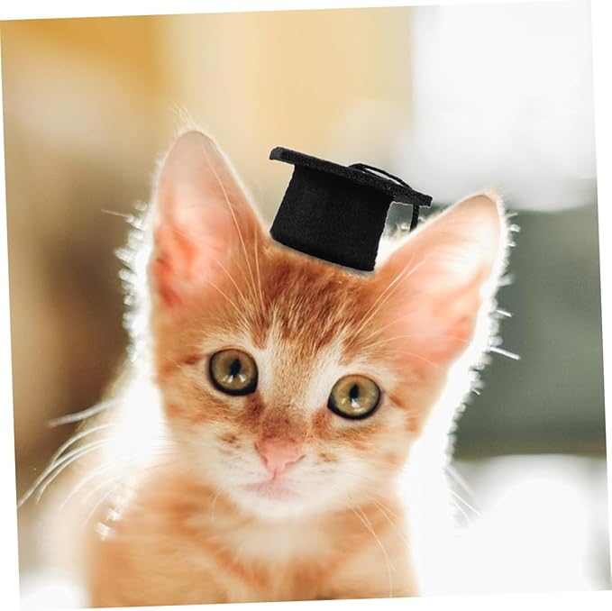 SHINEOFI 2pcs Adjustable Black Tassel Doctoral Caps Elastic Graduation Hat for Dogs, Creative Pet Party Supply and Decorative Graduation Costume Accessories