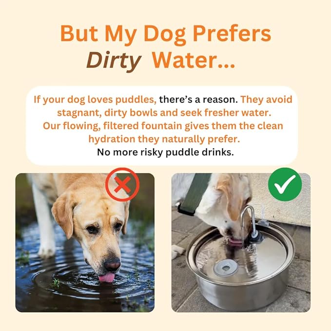 Dog Water Fountain, 4l/7l Doggy Fountain, Large Capacity Dog Water Fountain Stainless Steel, Silent Low-Noise Design, Multi-Filtration, LED Low‑Water Alert (1pcs+4 Filter)