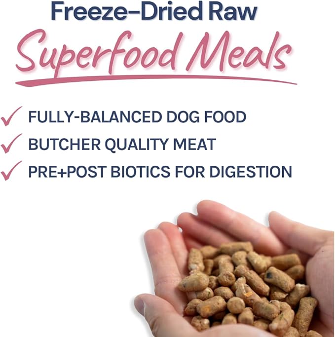 healthybud Raw Dog Food, Freeze Dried Dog Patties, Grain Free Dehydrated Real Meat, Dry Dog Treats & Toppers, Human Grade High Protein Puppy Food for All Breeds and Sizes, 14.1 oz (Salmon)