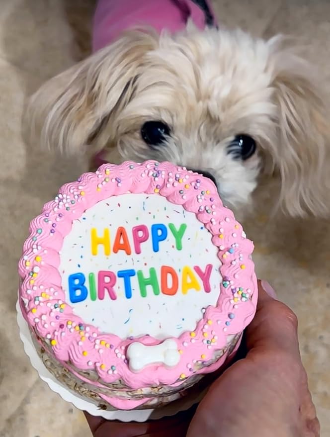 Lot of 6 Dezicakes Crispy Vanilla Pink Dog Birthday Cakes- Edible Puppy Party Crispy Vanilla Rice Cake- Handmade with Love- Perfect Dog Party Cake Boxed, Iced and Decorated