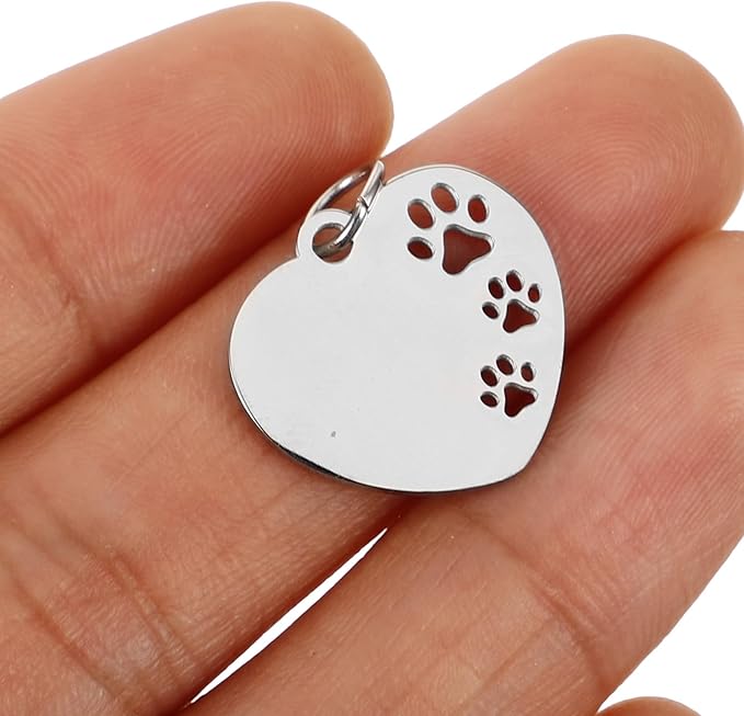 Kichvoe 10pcs Silver Stainless Steel Dog Id Tags Blank Pet Name Tags for Small Dogs Collar Accessories Sturdy Pet Supplies