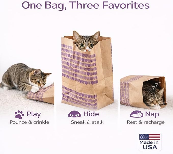 Catnip Infused Crinkly Paper Bag Cat Toys - All Natural & Recycled Materials - Made in USA - Interactive Hide and Seek for Indoor Cats and Kittens (4-Bags, Catnip)