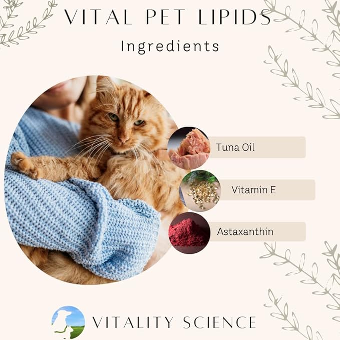 Vitality Science Advanced Immune Restoration Supplements for Cats | Intense Regeneration Protocol | Helps with Pain Relief (Medium)
