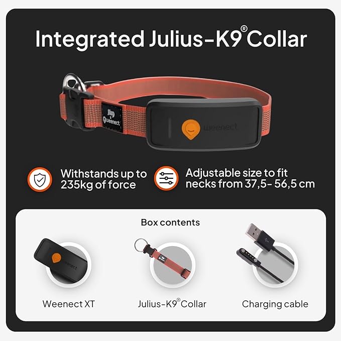 Weenect Dog XT - New GPS Collar for Dogs | XL Antenna | Waterproof | Ultra-Durable Integrated Julius-K9 Collar | Subscription Required