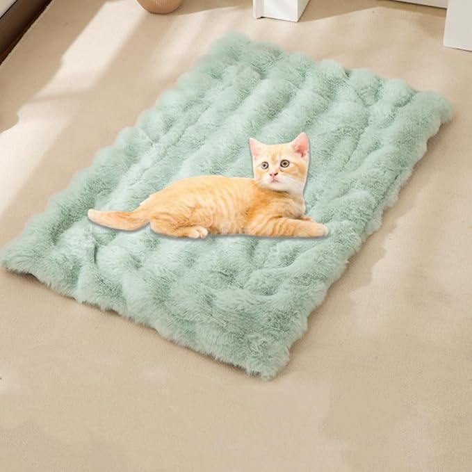 Cat Bed Mat Dog Crate Pads, Cat Beds for Indoor Cats Small Dogs, Plush Pet Bed Mats Faux Fur Dog Crate Mat with Removable Pillow for Cages/Floor/Couch (Green,M-15.7 * 23.6 in)
