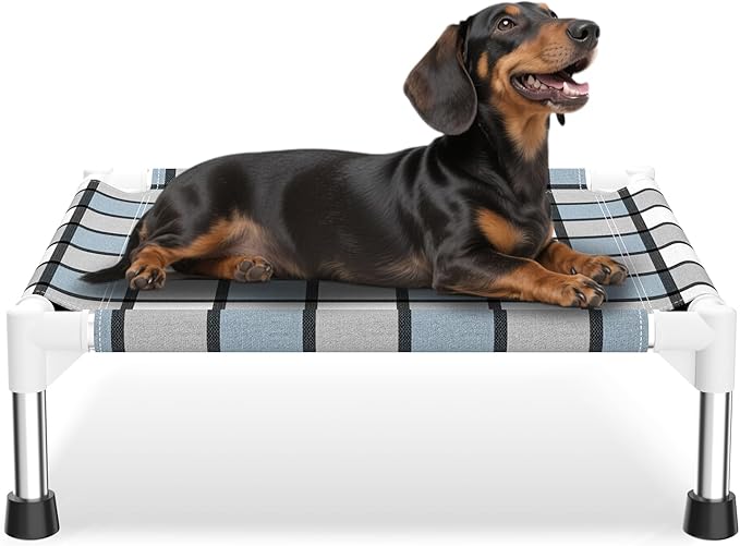 Elevated Outdoor Raised Dog Bed Outdoor Dogs Bed Lifted Pet Bed Dog Cot for Pet Taste Life, Start with A Pet Bed 20'' x 20'' x 6.5''