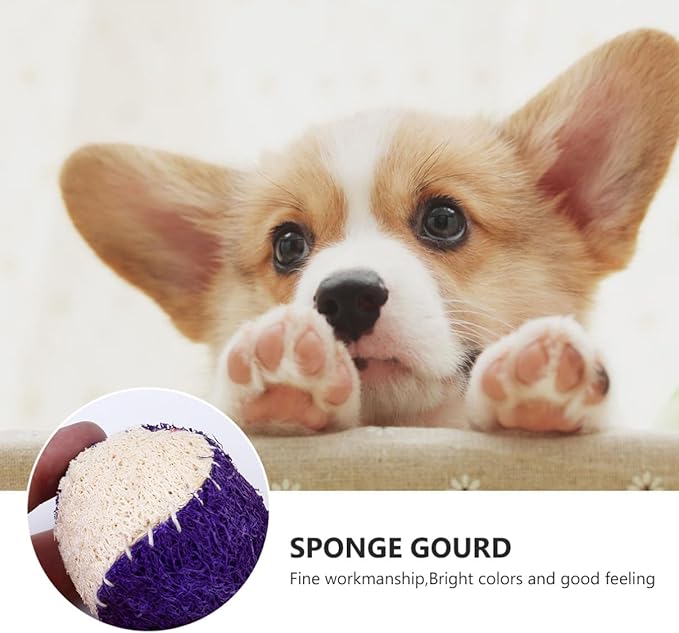 Dog Chew Tennis Ball 2pcs Natural Loofah Interactive Puppy Chewing Training Supplies Sturdy Pet Ball for Dogs Random Color