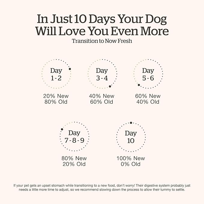 Now Fresh Grain-Free, Dry Dog Food, Real Trout, Salmon and Herring Adult Recipe, All Breed Size, 22 lb Bag