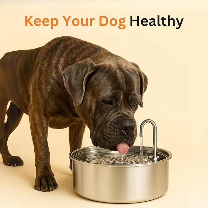 Dog Water Fountain, 4l/7l Doggy Fountain, Large Capacity Dog Water Fountain Stainless Steel, Silent Low-Noise Design, Multi-Filtration, LED Low‑Water Alert (1pcs+12 Filter)