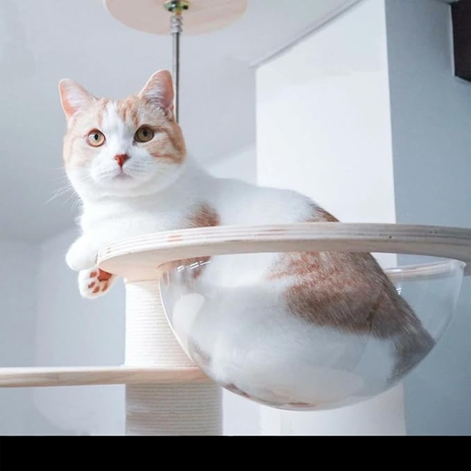 Transparent Space Capsule Dome Cat Bed for Floot to Ceiling Cat Tree Parts, Dia 11.8 Inches